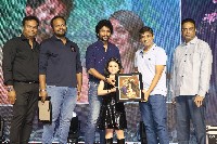 Hi Nanna Movie Success Celebrations Photos
